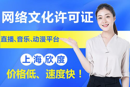 2020年上海网络文化经营许可证申请材料及其他文网文详情